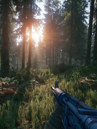 Sunlit Forest Rifle Scene Poster. poster