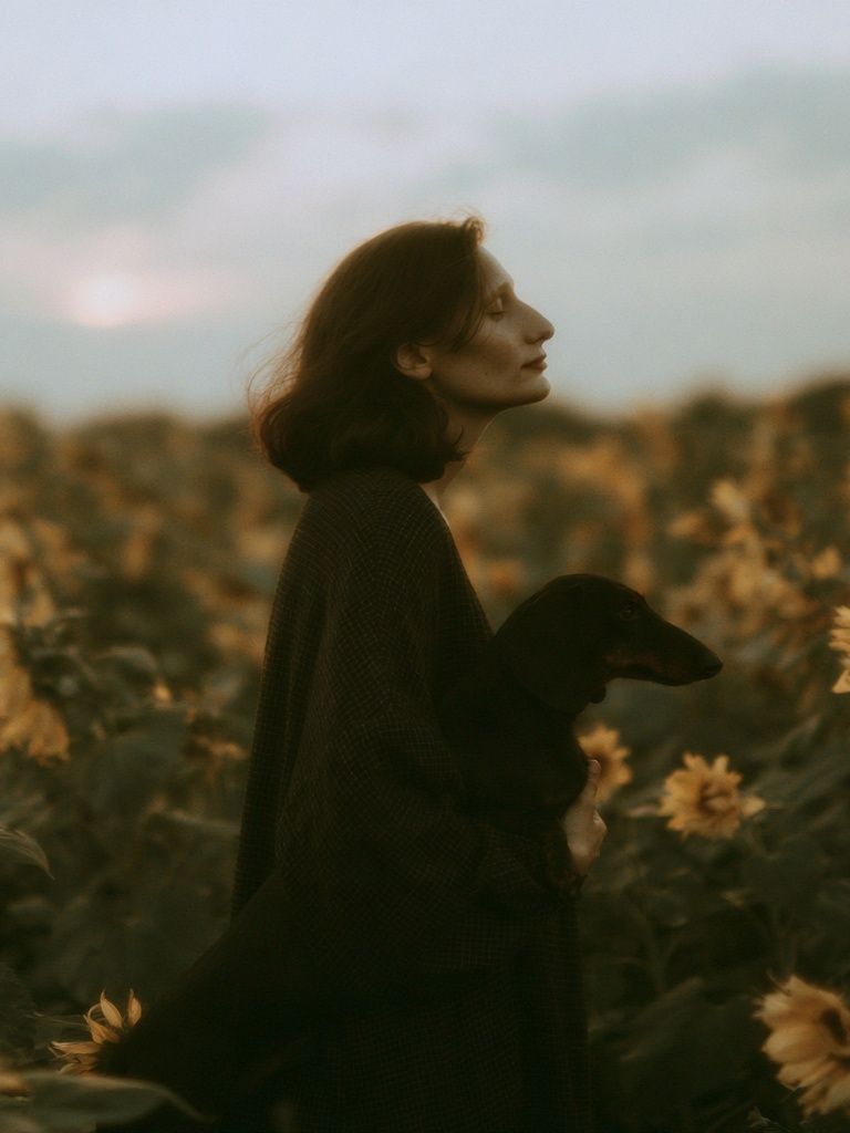 Sunflower Field Portrait Photography Poster. poster — photography art