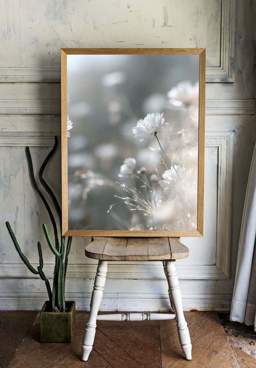 Soft White Wildflowers Photography Poster. room preview