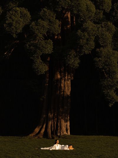 Sunlit Tree and Figures Photography Poster.