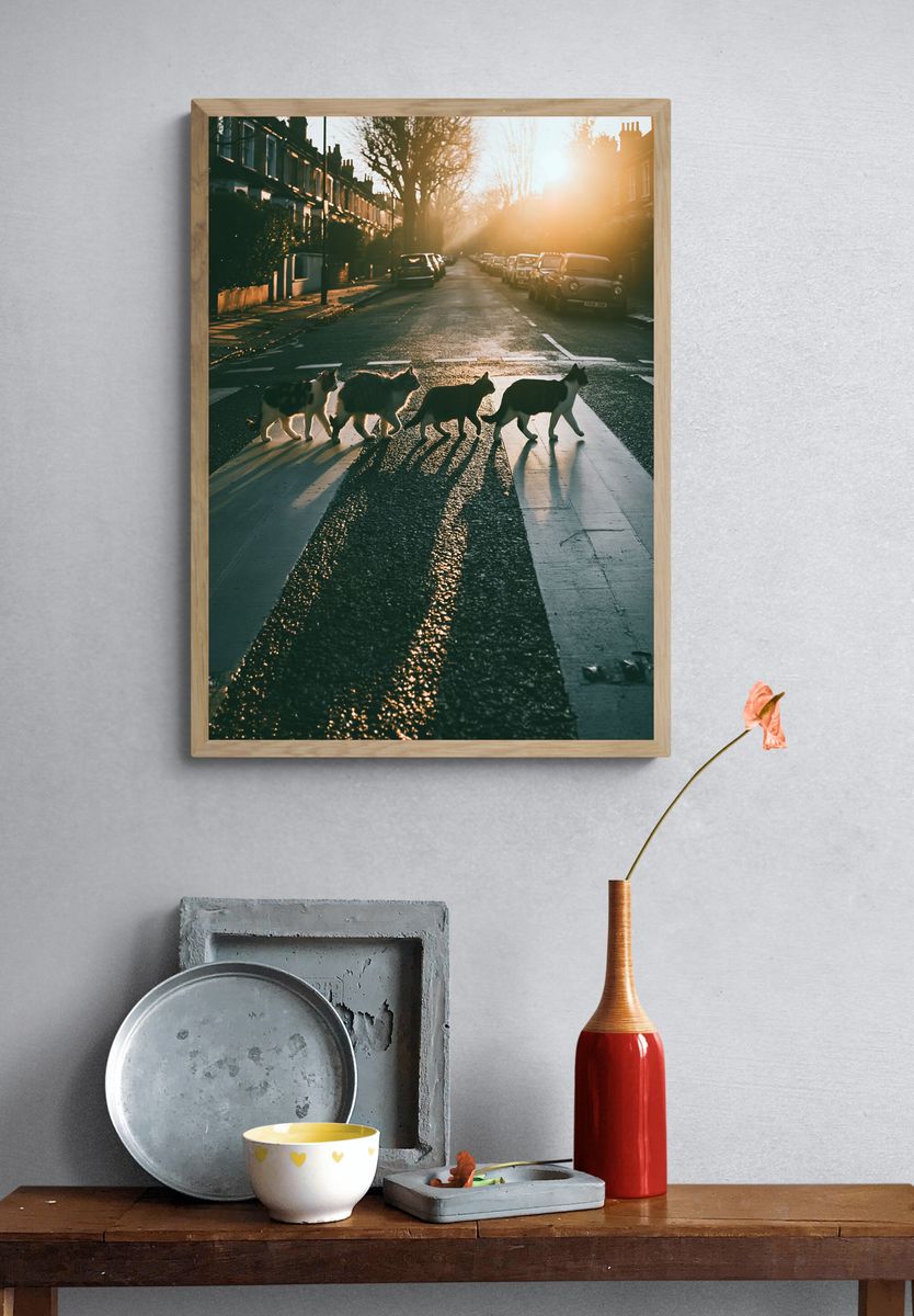 Cats Crossing Street Photography Poster. — room view 3