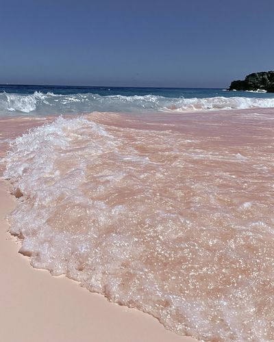 Pink Shoreline Ocean Photography Poster.
