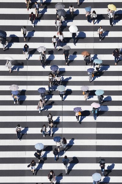 Umbrella Crosswalk Street Photography Poster.