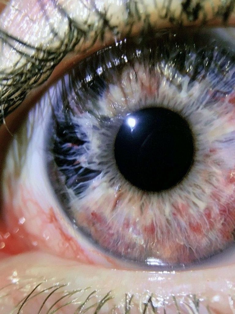 Human Eye Macro Photography Poster. poster detail