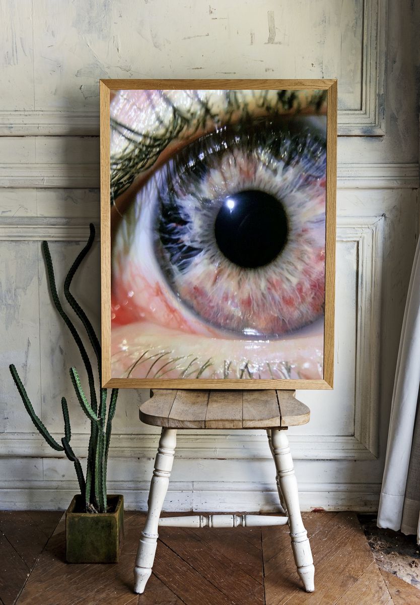 Human Eye Macro Photography Poster. room preview