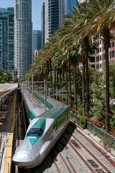 Downtown High-Speed Rail Photography Poster.