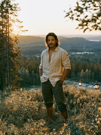 Sunlit Forest Portrait Photography Poster.