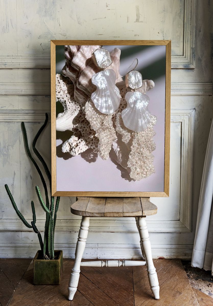 Seashell Still Life Photography Poster. — room view 1