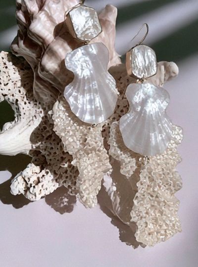 Seashell Still Life Photography Poster.
