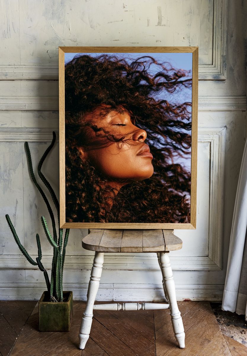 Windblown Portrait Photography Poster. room preview