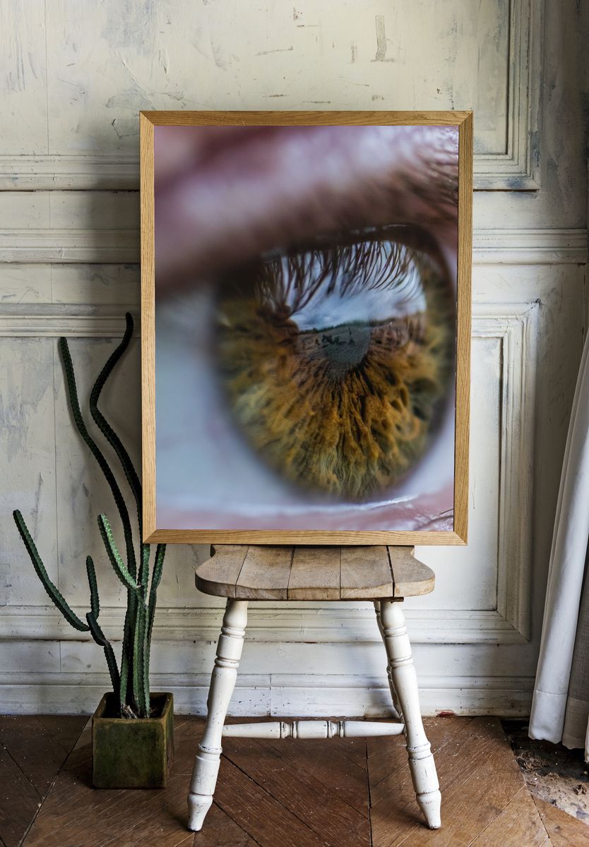 Reflective Eye Photography Poster. room preview
