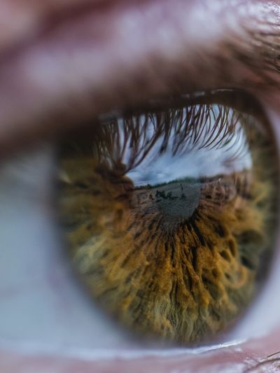 Reflective Eye Photography Poster.