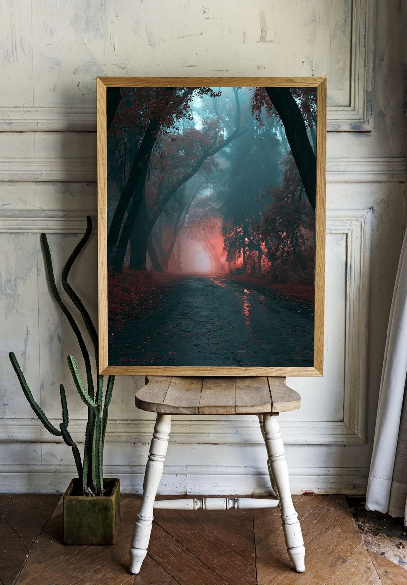 Misty Forest Path Photography Poster. room preview