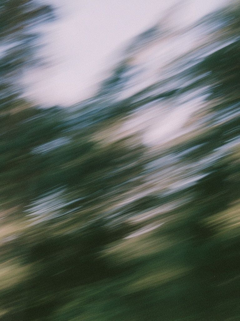 Blurred Forest Motion Photography Poster. poster detail