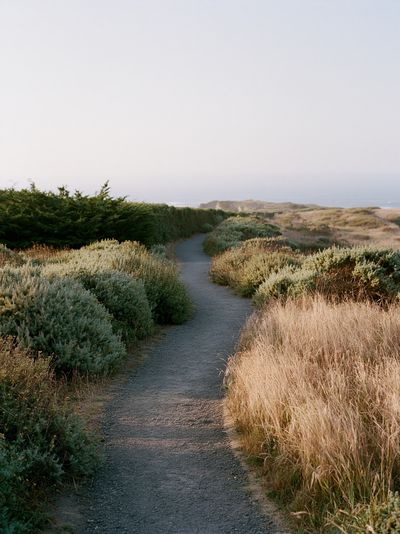 Coastal Path Landscape Poster.