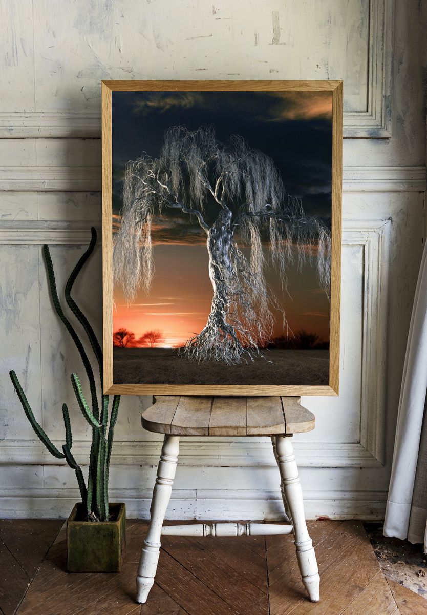 Twilight Willow Tree Photography Poster. room preview
