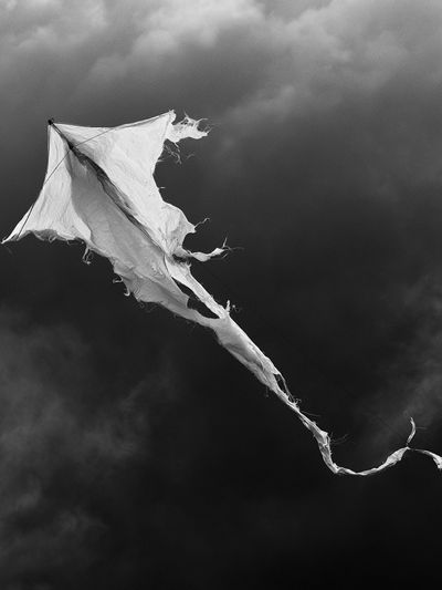 Tattered Kite Black-White Poster.