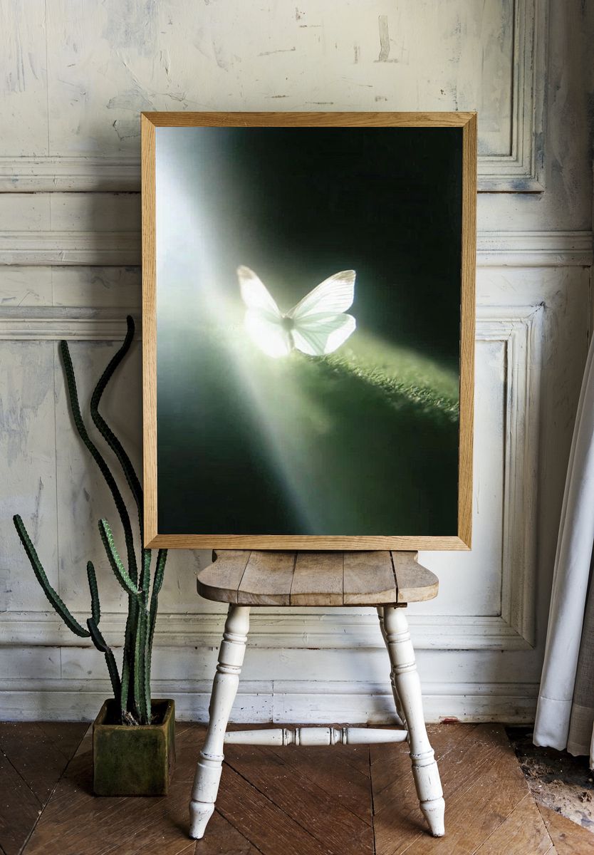 Butterfly Lightbeam Photography Poster. room preview