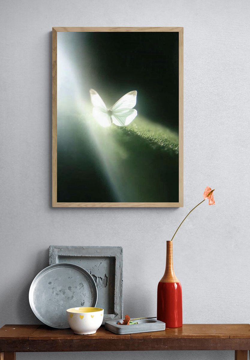 Butterfly Lightbeam Photography Poster. — room view 3