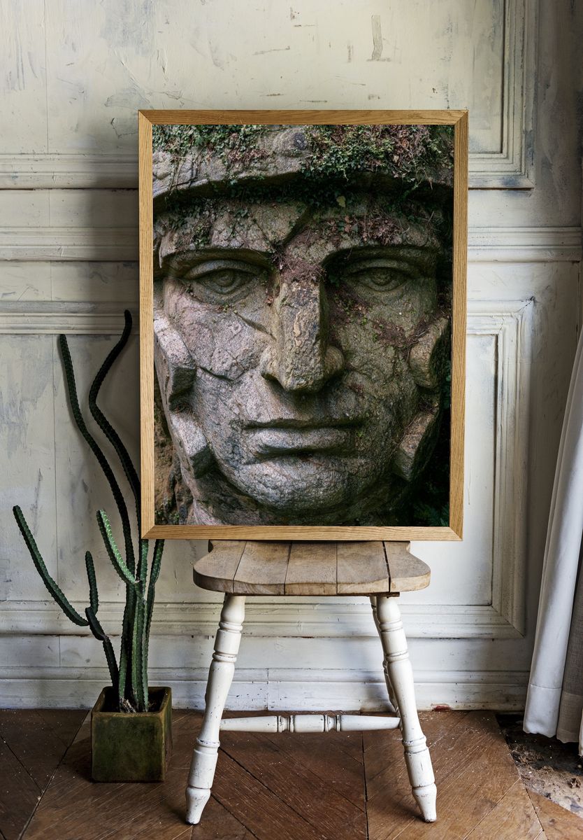 Stone Face in the Forest Poster. — room view 1