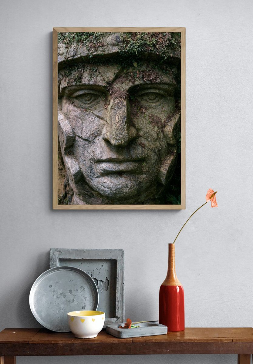 Stone Face in the Forest Poster. — room view 3