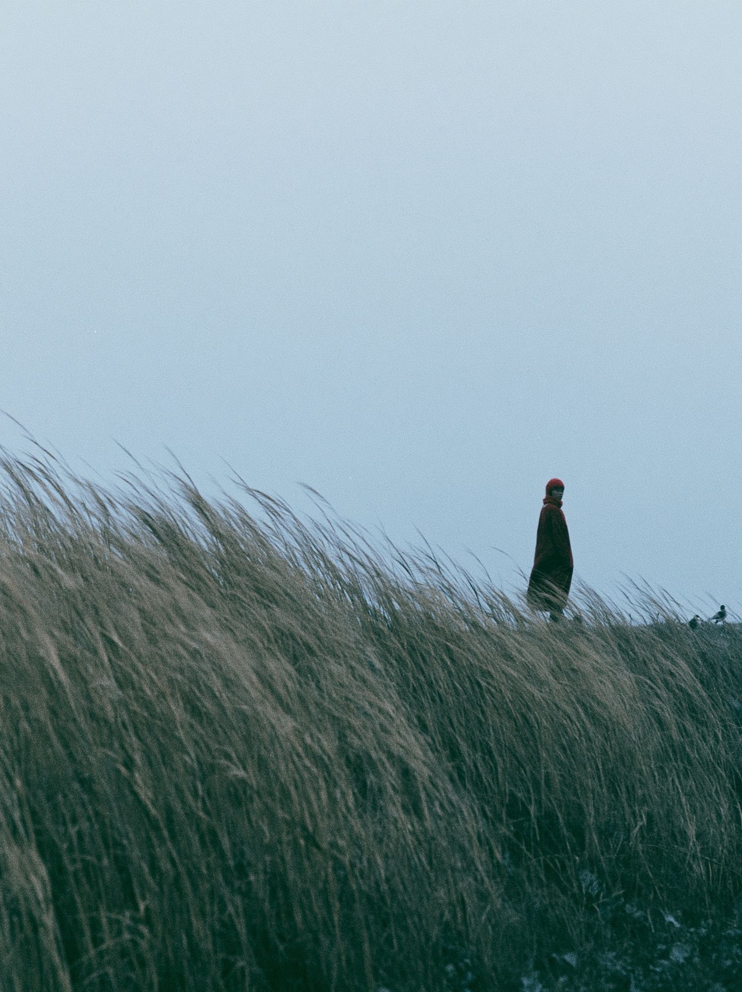 Solitary Figure in Dunes Photography Poster. poster — photography art
