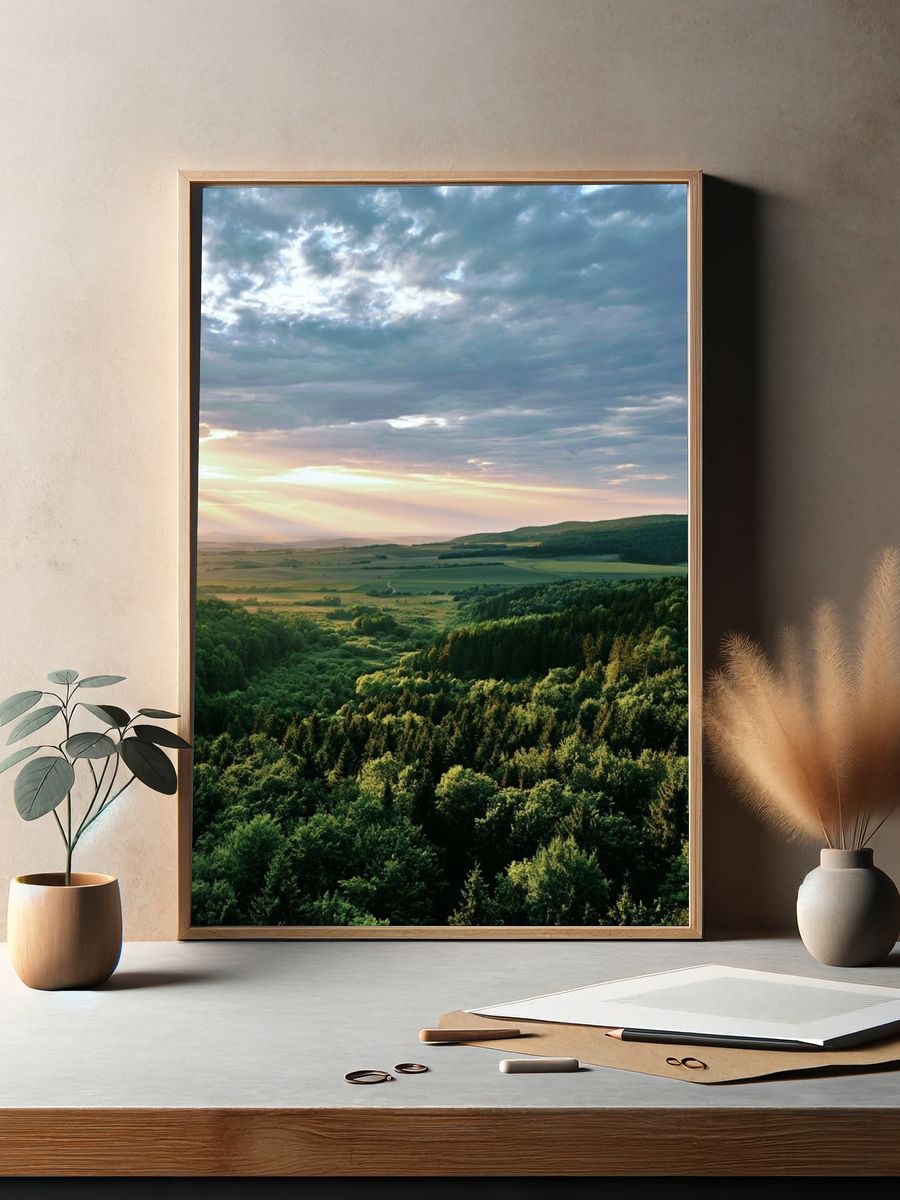 Sunlit Forest Valley Photography Poster. — room view 2