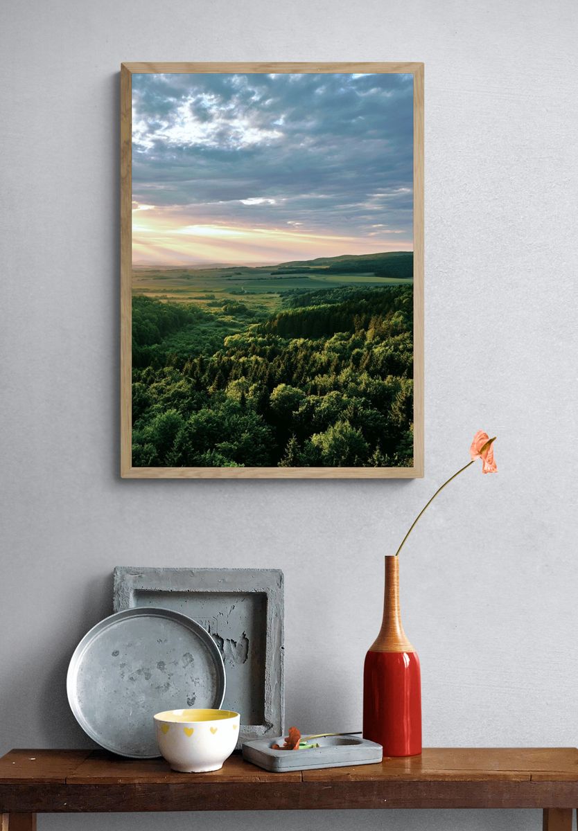 Sunlit Forest Valley Photography Poster. — room view 3