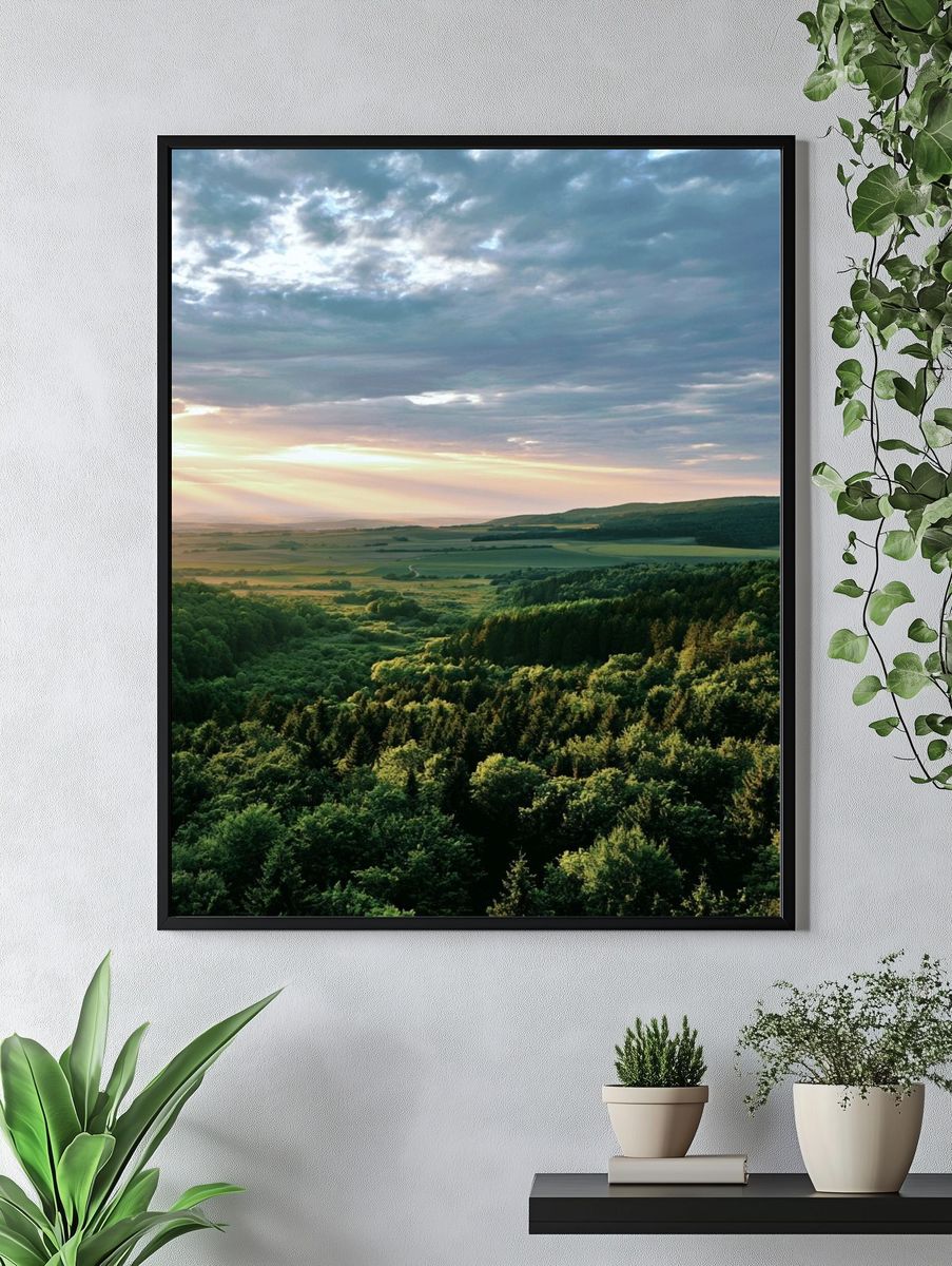 Sunlit Forest Valley Photography Poster. — room view 4