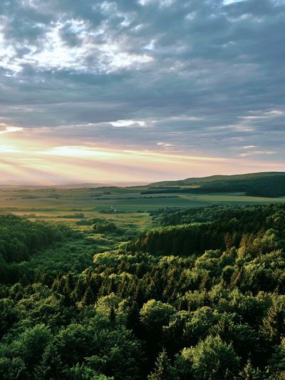 Sunlit Forest Valley Photography Poster. poster