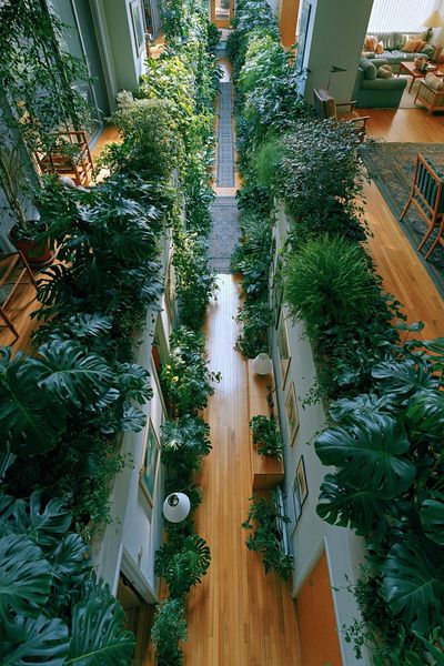 Indoor Jungle Hallway Photography Poster.