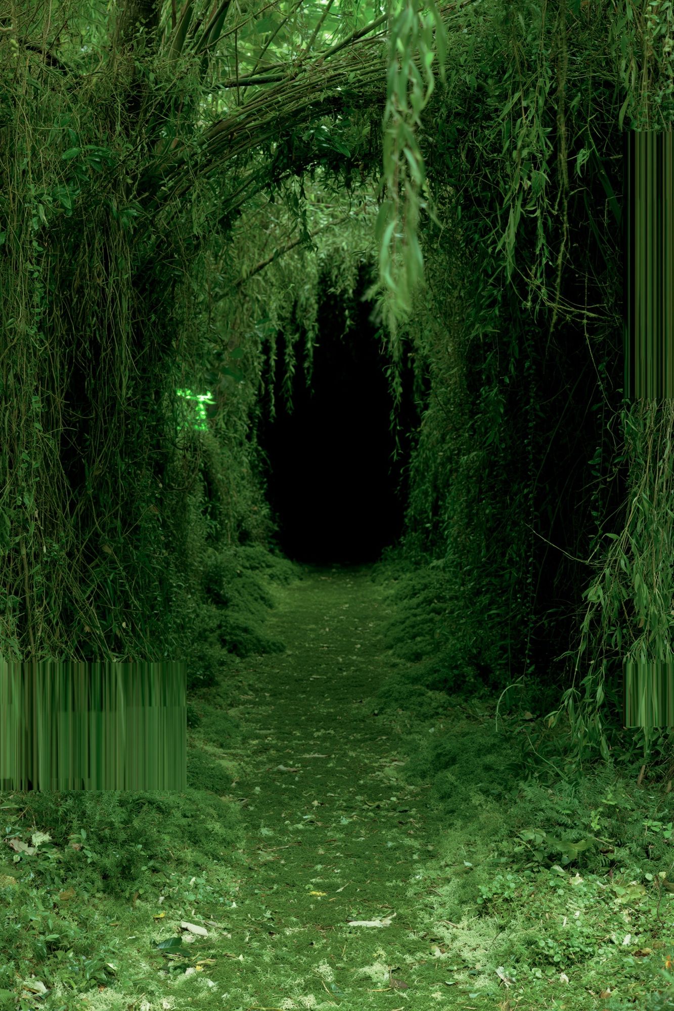 Enchanted Forest Path Photography Poster. poster detail