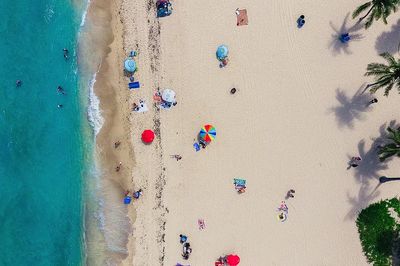 aerial shot tourists sunbathing sand.