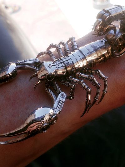 Mechanical Scorpion Photography Poster.