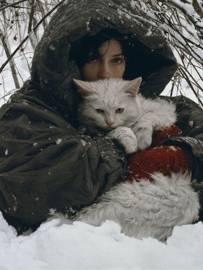 Winter Portrait with White Cat Poster.