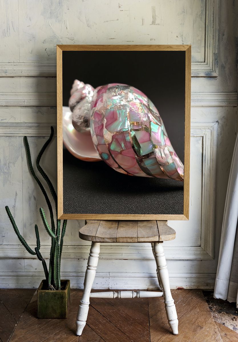 Iridescent Shell Still Life Poster. — room view 1
