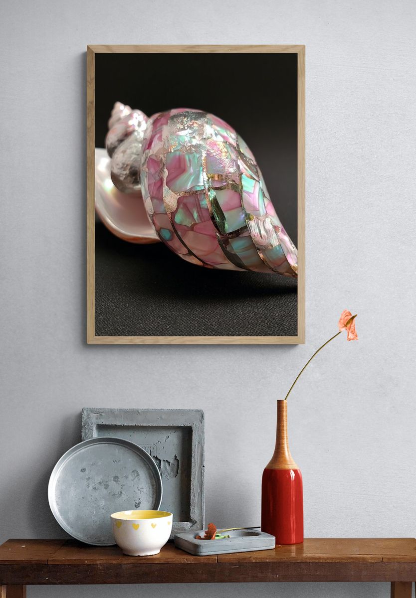 Iridescent Shell Still Life Poster. — room view 3