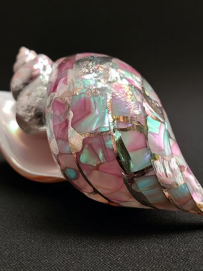 Iridescent Shell Still Life Poster. poster