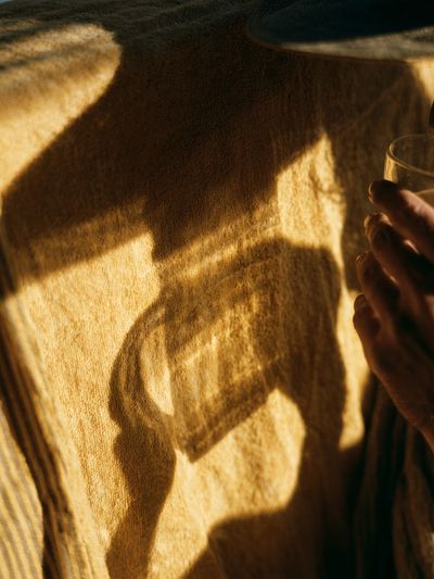 Golden Shadow Portrait Print.