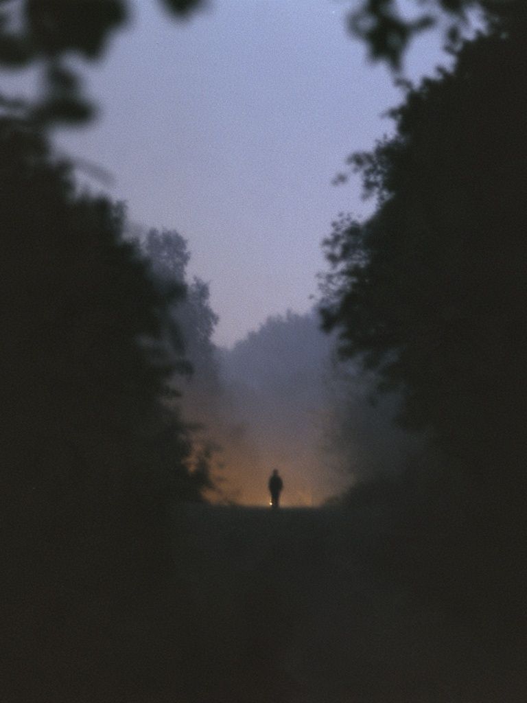 Misty Forest Dawn Silhouette Poster. poster detail