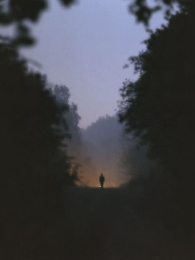 Misty Forest Dawn Silhouette Poster.