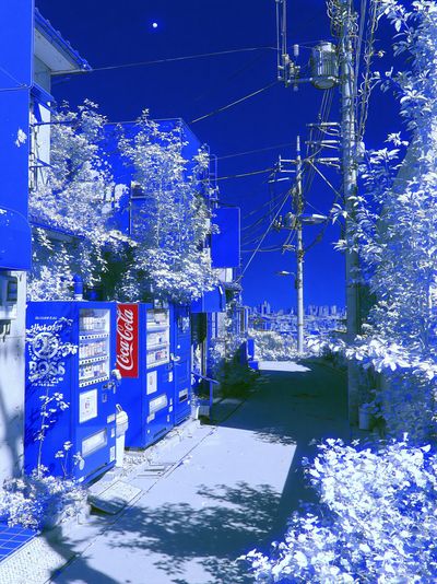 Blue Alley Cityscape Photography Poster. poster