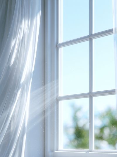Sunlit Sheer Curtains Photography Print. poster print