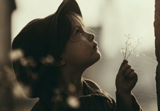 Child with Dandelion Photography Poster. poster — photography art