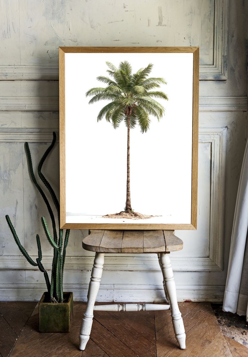 Solitary Palm Tree Photography Poster. room preview