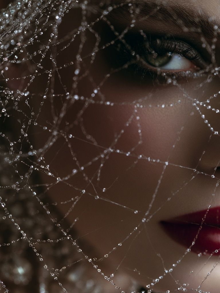Veiled Portrait Photography Poster. poster detail