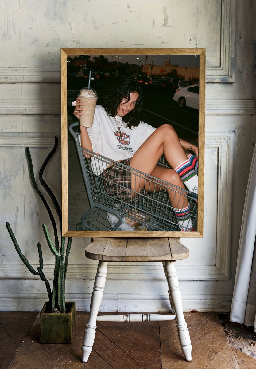 Shopping Cart Portrait Photography Poster. room preview