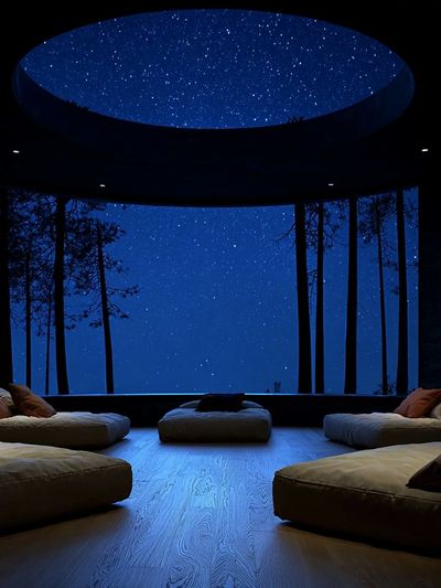 Starry Forest Retreat Photography Poster. poster print
