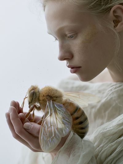 Dreamy Bee Portrait Photography Poster. poster