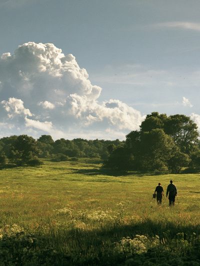 Meadow Walk Landscape Poster. poster